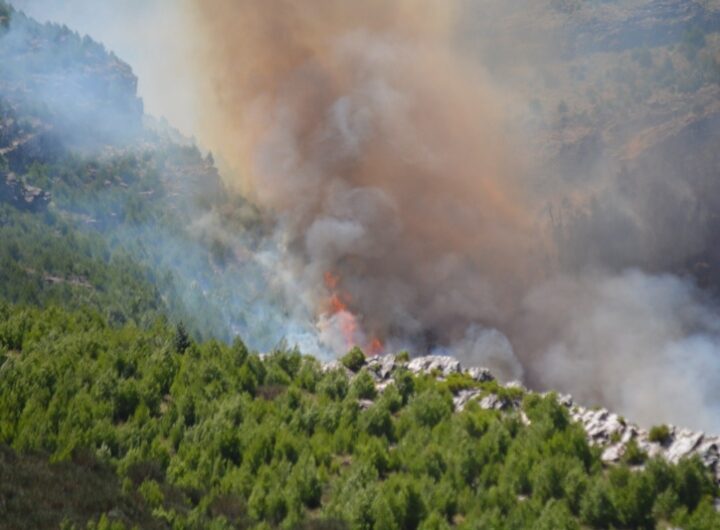 incendio en sierra