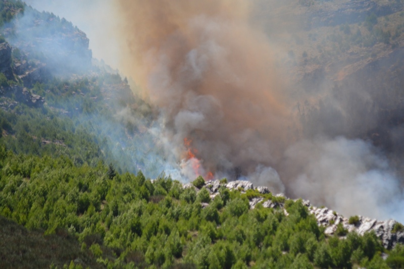 incendio en sierra